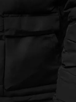Clearance Herren Jacke JS/31M5011 Herren Steppjacken | Übergangsjacken